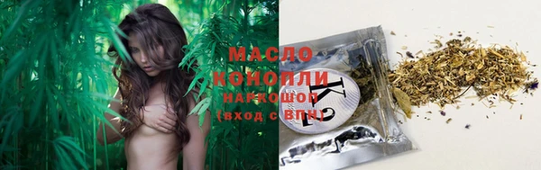 дмт Каменногорск