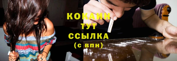 дмт Каменногорск