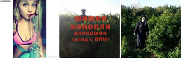 дмт Каменногорск