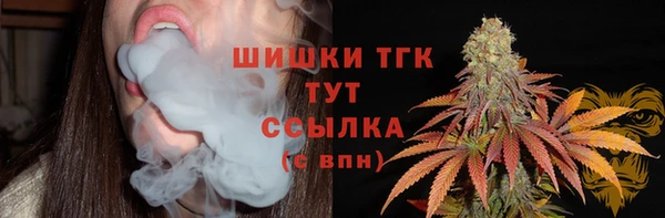 дмт Каменногорск