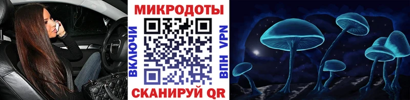 Псилоцибиновые грибы Psilocybe  Купить  Когалым 